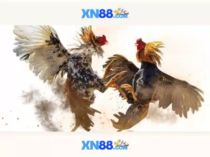 💎package slot💎 💎package slot💎