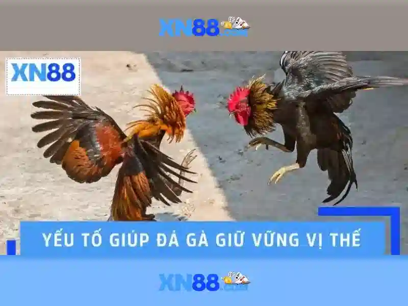 💎ca cuoc bong da.pro💎 💎ca cuoc bong da.pro💎