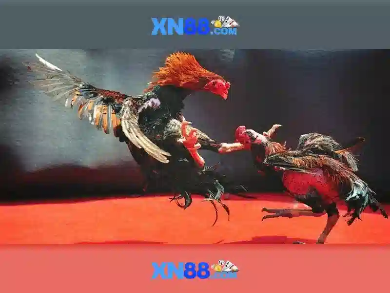 💎video slots bonus code💎 💎video slots bonus code💎