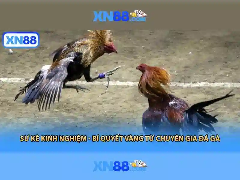 💎nhà cái uy tín .116💎 💎nhà cái uy tín .116💎