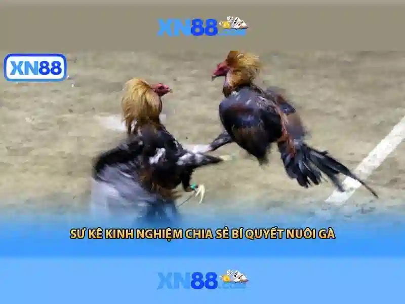 💎how to win online slots reddit💎 💎how to win online slots reddit💎