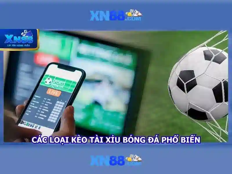 💎các nhánh sông miền bắc💎 💎các nhánh sông miền bắc💎