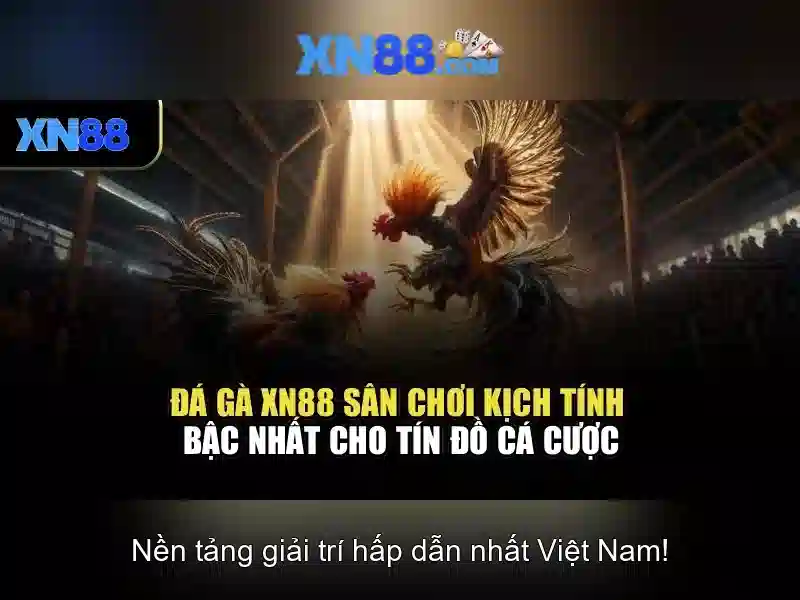 💎ti le keo nha cai .com💎 💎ti le keo nha cai .com💎