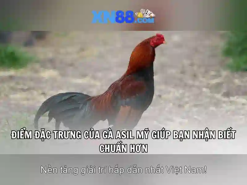 💎sgcplay slot💎 💎sgcplay slot💎