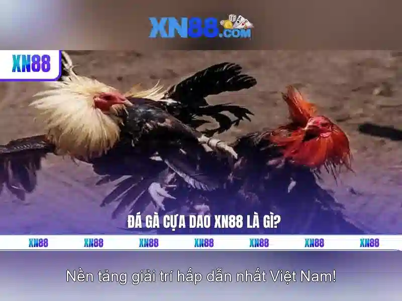 💎nhà cái uy tín 13💎 💎nhà cái uy tín 13💎