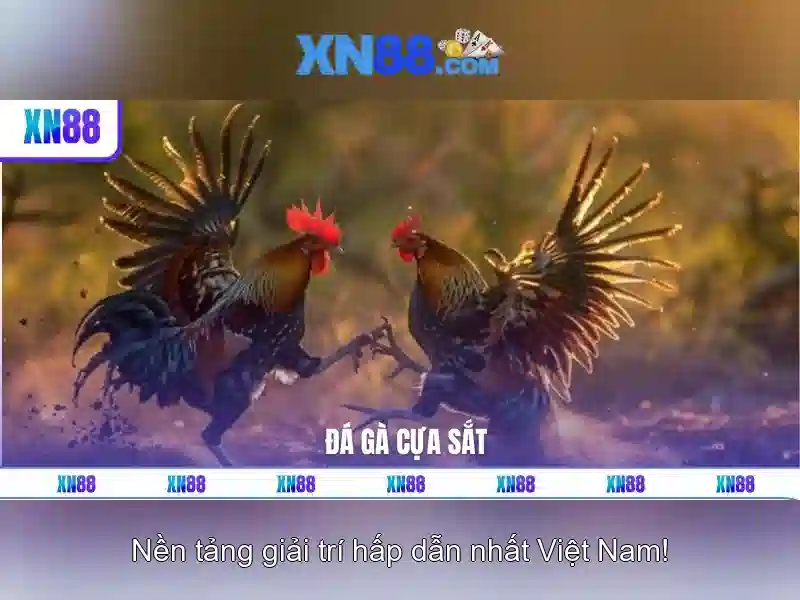 💎chủ tịch phường thạch bàn đánh bạc💎 💎chủ tịch phường thạch bàn đánh bạc💎