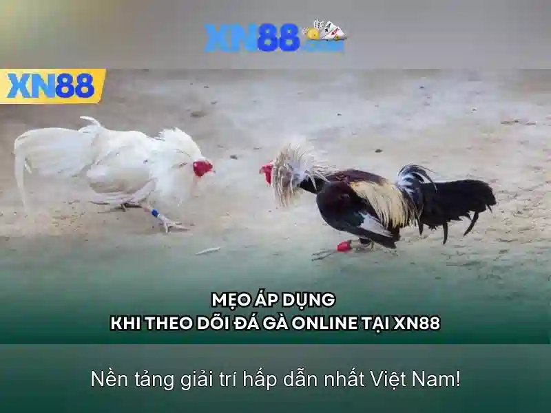 💎rat king slot💎 💎rat king slot💎