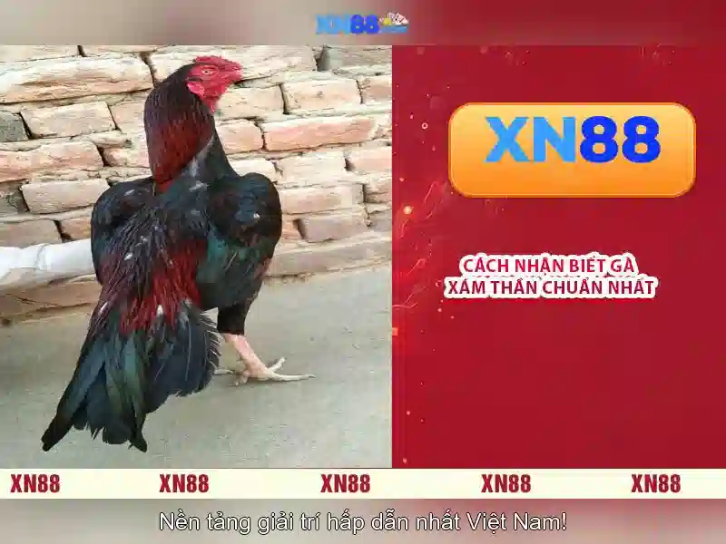 💎product madness slots💎 💎product madness slots💎