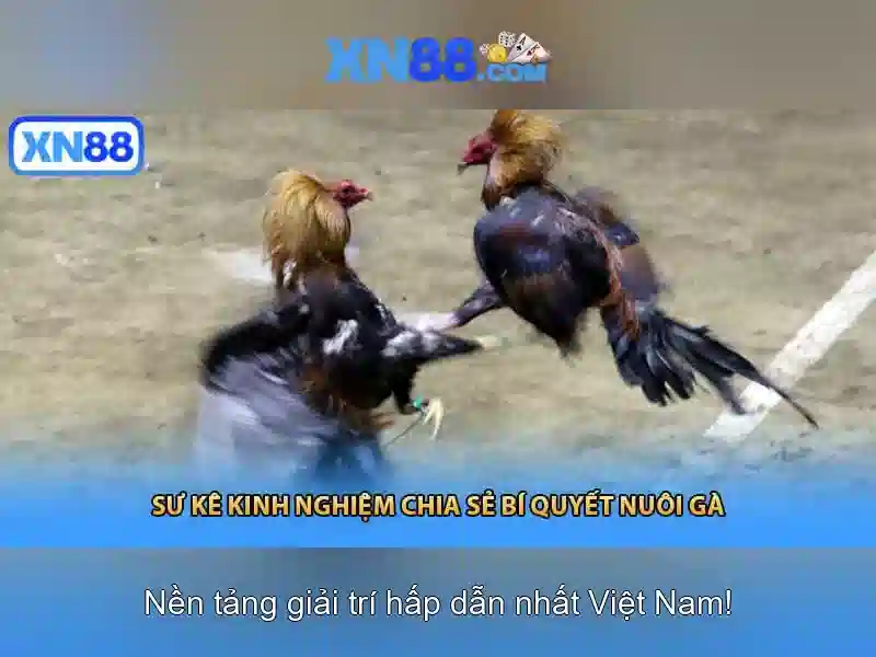 💎play slots for real online💎 💎play slots for real online💎