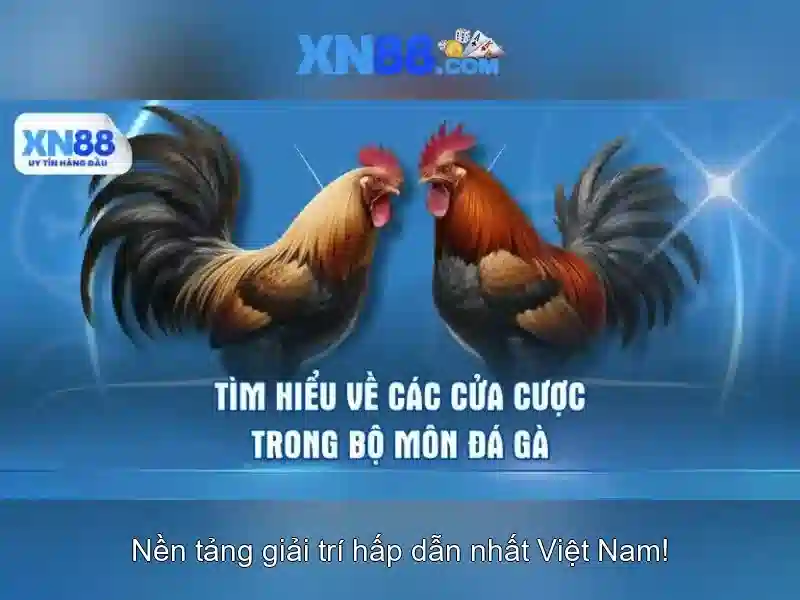 💎cả cuộc đời bác có ngủ yên đâu💎 💎cả cuộc đời bác có ngủ yên đâu💎