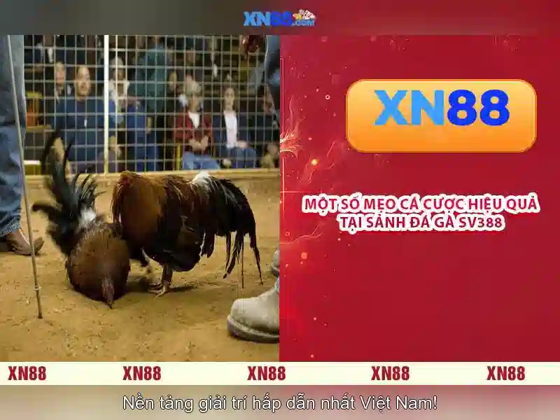 💎red88 nha cai💎 - red88 nha cai - tỷ lệ kèo nhà cái red88 💎red88 nha cai💎 - red88 nha cai - tỷ lệ kèo nhà cái red88