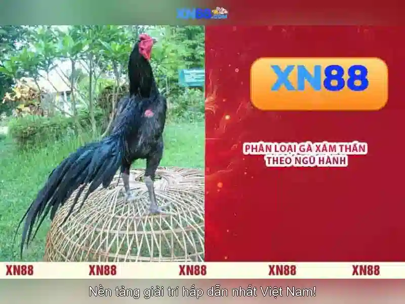 💎slot together furniture💎 💎slot together furniture💎