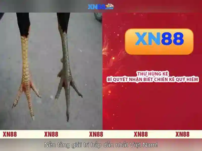 💎juwa online slots download💎 💎juwa online slots download💎