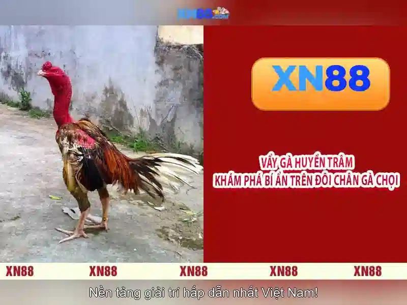 💎nha cai uy tin . win💎 💎nha cai uy tin . win💎